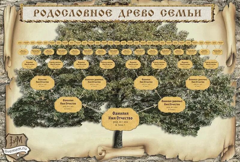 Как узнать свой род происхождения. Древо семьи. Генеалогическое дерево. Родословное дерево семьи. Генеалогическое Древо макет.