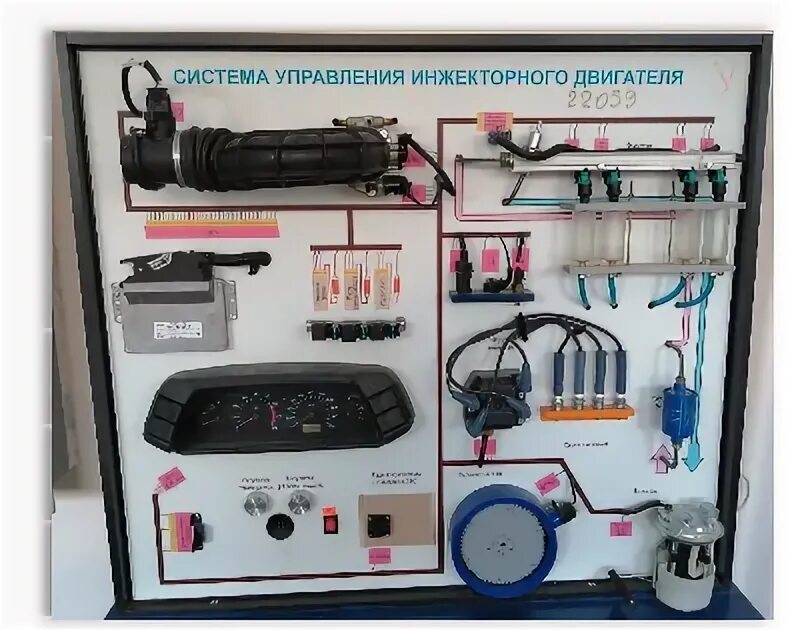 Системы управления инжекторного двигателя. Система управления инжекторного двигателя.