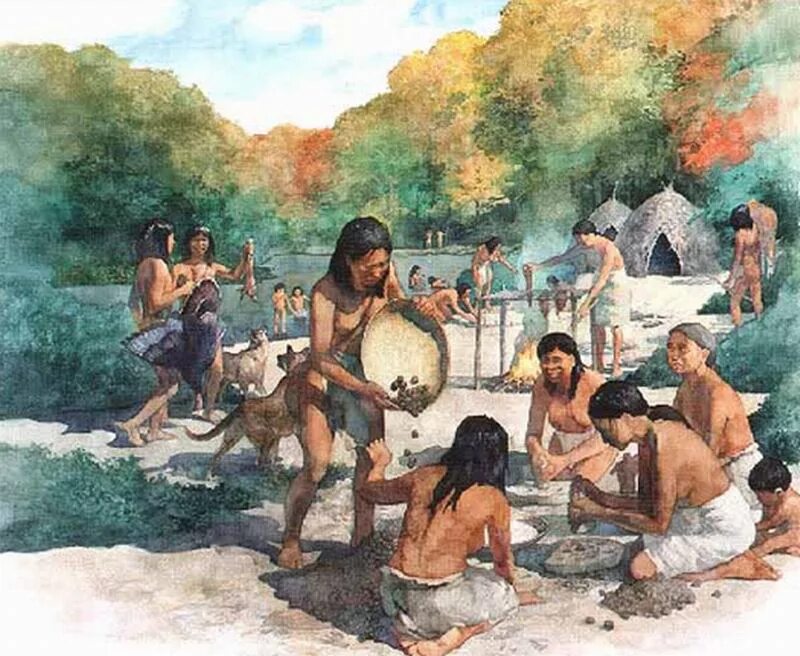 Собирательство индейцев Северной Америки. Собирательство в первобытном обществе. Каменный век Японии. Первобытные охотники и собиратели.