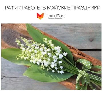 День ландыша