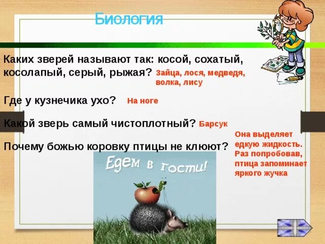 Какого зверя голыми. Какого зверя называют косой. Напиши каких зверей так называют косой. Какой зверь самый чистоплотный. Косой ...косолапый....серый.... Каких животных.