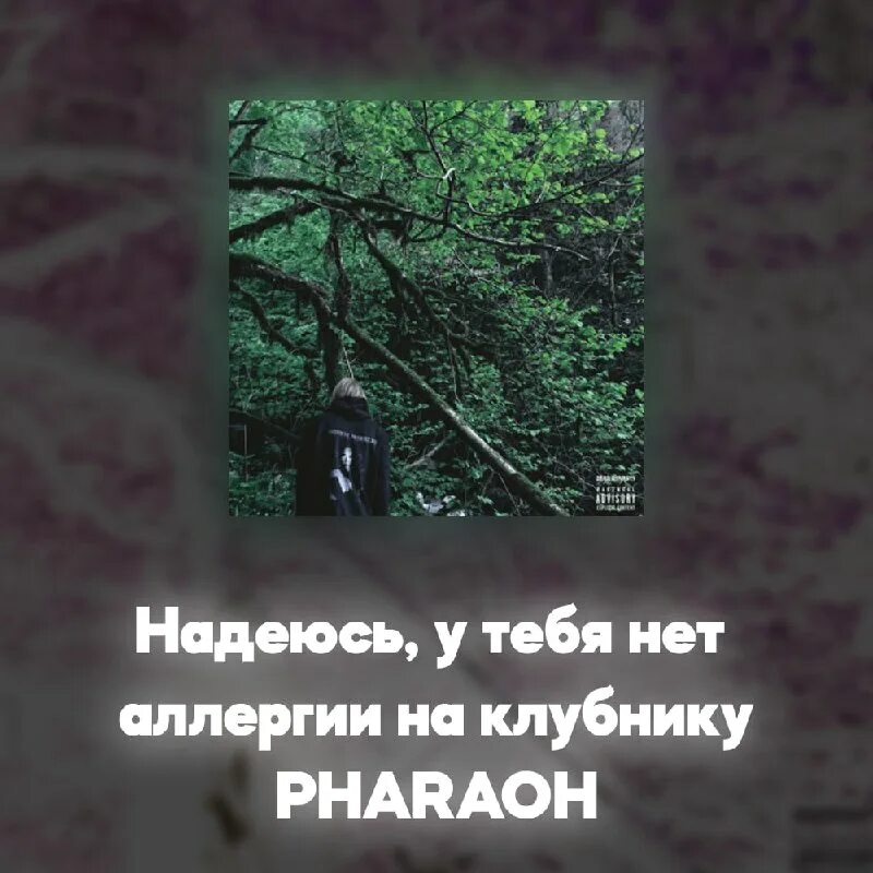 Фараон твиттер. Текст надеюсь у тебя нет аллергии. Обложка альбома phosphor. Твиты фараона. Выродок фараон.