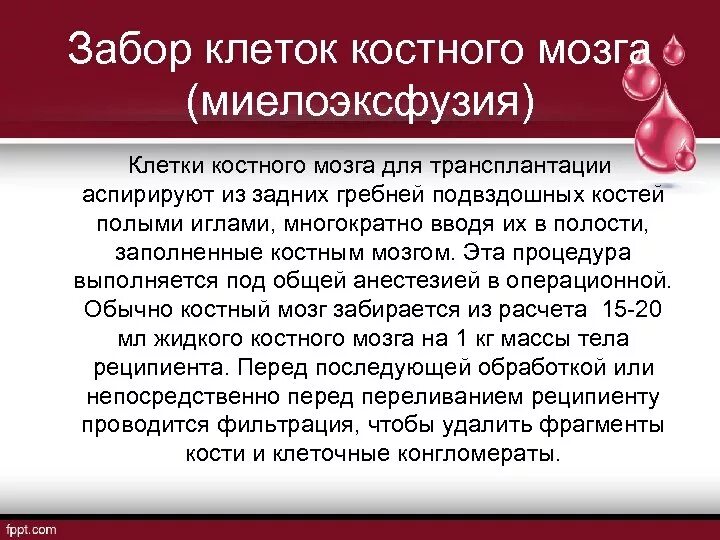 Трансплантация костного мозга. Аутотрансплантация костного мозга. Методы забора костного мозга. Пересадка костного мозга методика.