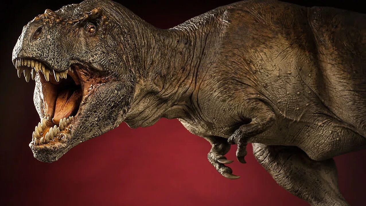 TYRANNOSAURUS REX Sideshow Collectibles Dinosauria Unboxing - YouTube