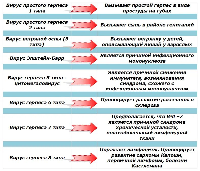 Сколько лечится простуда. Вирус простого герпеса 1 и 2 типа проявление. Отличие типов 1 и 2 вируса простого герпеса. Вирус простого герпеса 1 и 2 типа разница. Заболевания вируса простого герпеса 1 типа.