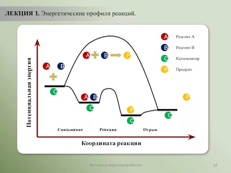 Какой катализ. Виды катализа. Гомогенный катализ. Гомогенный катализ и гетерогенный катализ. Катализ гомогенный гетерогенный ферментативный.