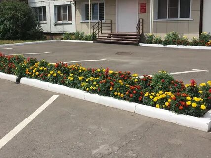 Садовод плюс