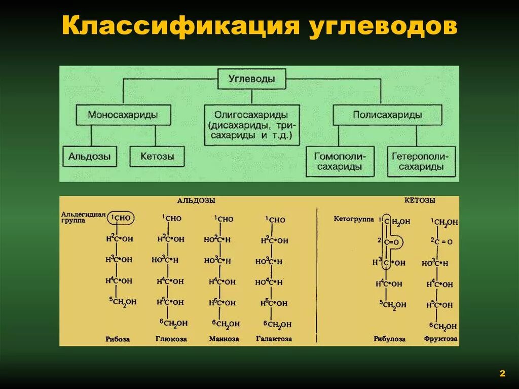 Вещество которое относится к классу углеводы. Классификация углеводов биохимия схема. Классификация гидролизуемых углеводов. Классификация углеводов биохимия таблица. Классификация углеводов основные представители.