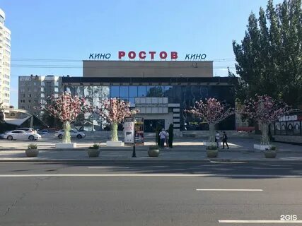 Большая садовая 122