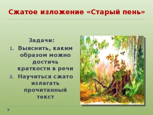 Сжатое изложение лето в деревне 6 класс. Сжатое изложение старый пень. Катаев старый пень сжатое изложение. Краткое изложение старый пень. Краткое изложение пень.