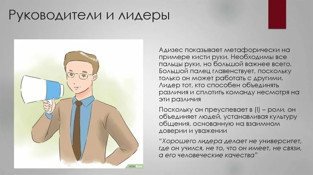 Какие типы руководителей. Типология руководителей по адизесу. адизес для лидеров. методология адизеса. типы лидерства по адизесу.