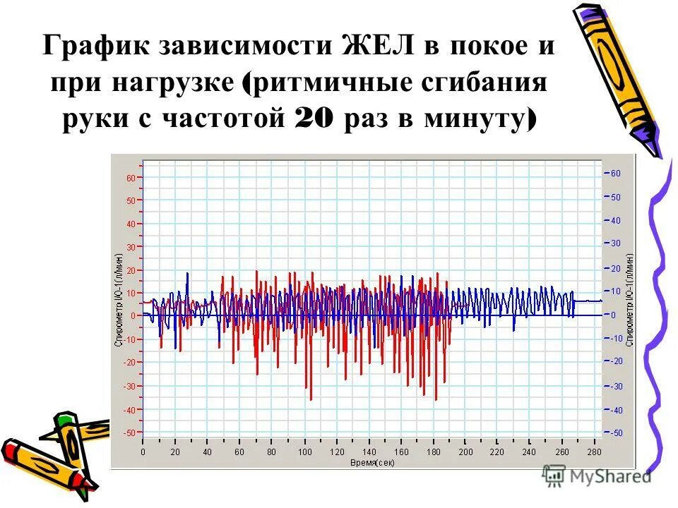 от чего зависит жизненная емкость легких жел. жел емкость легких. легочные объемы и жизненная емкость легких. органы дыхания крота. график измерения жел.