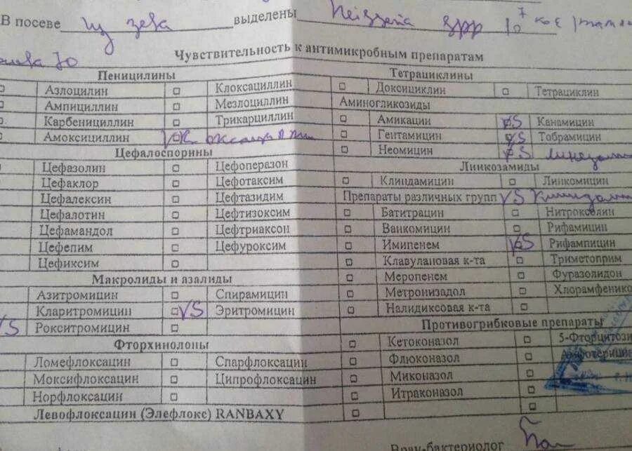 Где можно сдать бак посев. Бак посев из зева и носа на флору и чувствительность. чувствительность к антибиотикам расшифровка анализа мазка из зева. мазок на флору и чувствительность к антибиотикам с зева и носа. мазок на флору у ребенка из зева расшифровка.