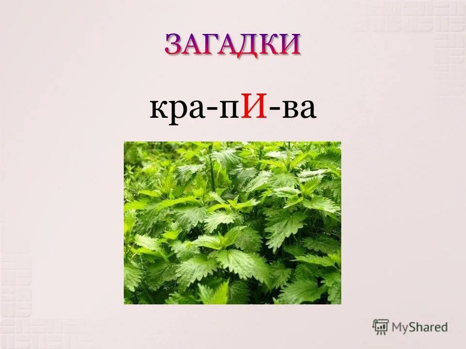 Текст kra. Ворона стих кража. Синдикат реп. Скороговорка про ворону. Козз.