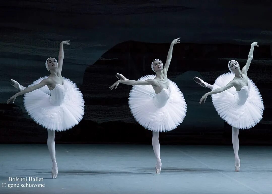 Лебединое озеро балет 2015. Лебединое озеро большой театр. bolshoi ballet swan lake. балет гамбургский лебединое озеро. лебединое озеро балет большой театр.