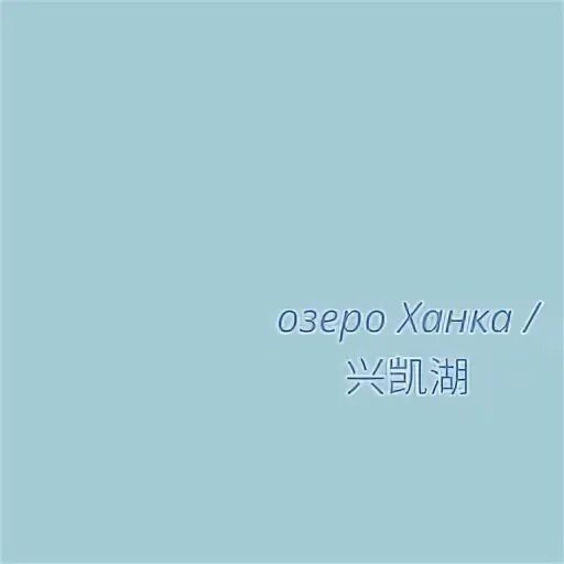 03 606 03
