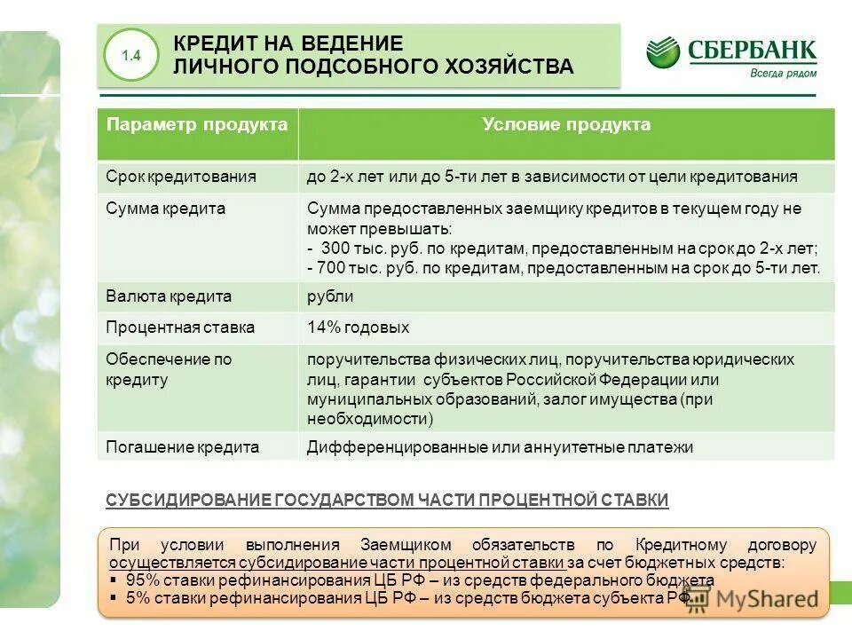 Сбербанк получение кредитов какие. Условия кредитования в сбербанке. условия займа в сбербанке. сбербанк россии условия кредитования. программа кредитования сбербанка.