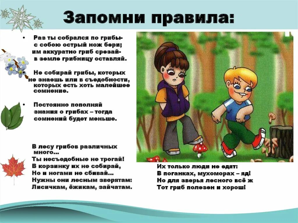 Как выучить правила за 5 минут. Правила сбору грибов и поведению в лесу. Выучить правила. Рисунок запомнить правило. Запомни эти правила для детей.