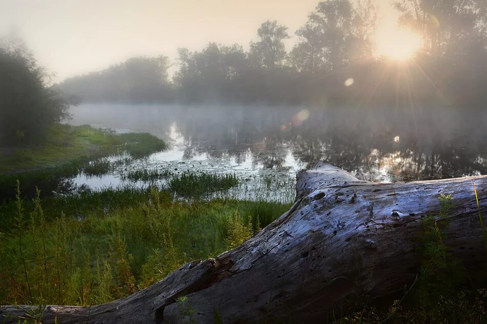 море в дымке. дымка на воде. туман испарения. дымка над водой. туманное утро фет.