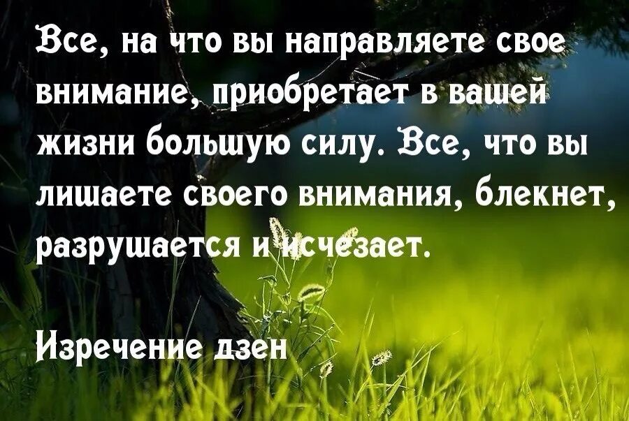 Жизнь во лжи рассказ на дзен. Дзен цитаты. Дзен афоризмы. Дзен цитаты афоризмы. Дзэн цитаты.