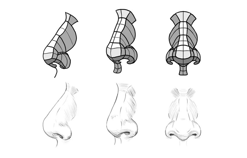 Head forms. Нос в разных ракурсах. Рисование носа с разных ракурсов. Нос рисунок с разных ракурсов. Построение носа в разных ракурсах.