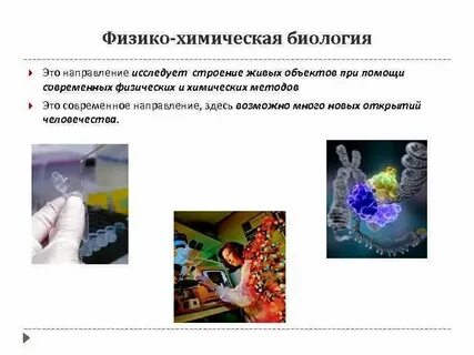 Назовите эксперименты по физике биологии и физической