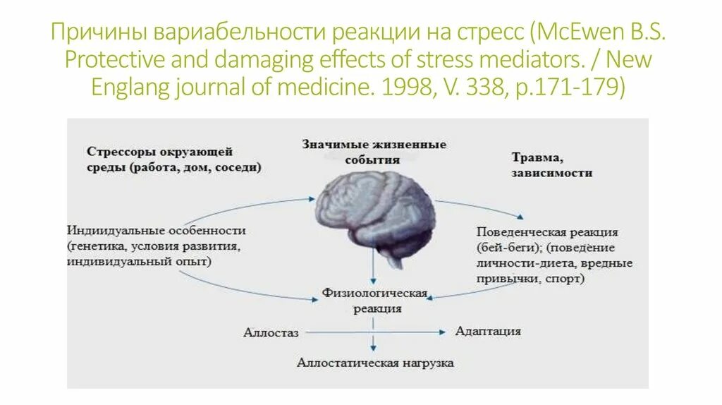 Нейрофизиологические проявления стресса. Нейрофизиологические факторы. Понятие о стресс-реакции, стресс-системе.. Нейрофизиологические механизмы стресс. Реакция на стресс замри