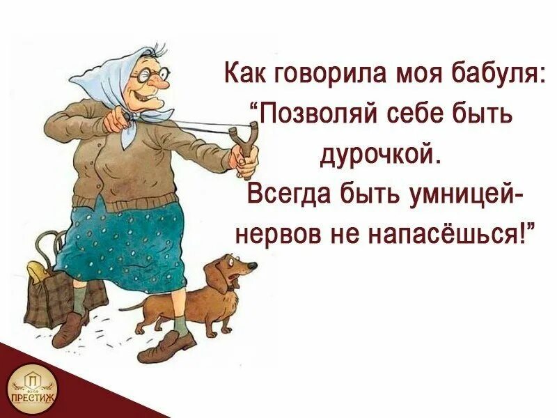 Меня волнуют бабки и их умножение. Смешные высказывания про бабушек. Смешные цитаты про бабушек. Приколы про старушек. Смешные фразы про бабушек.