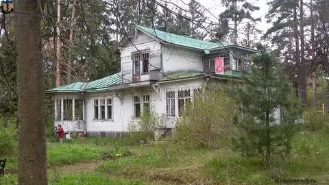 Дача академика псков отзывы