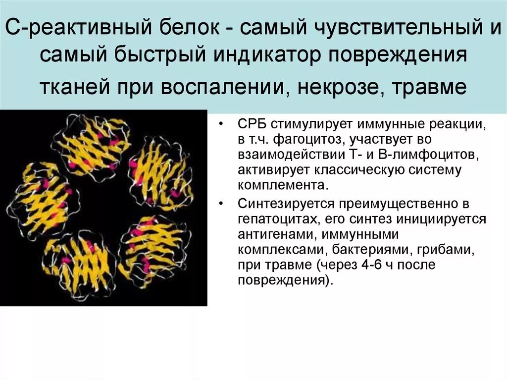 Реактивный белок расшифровка