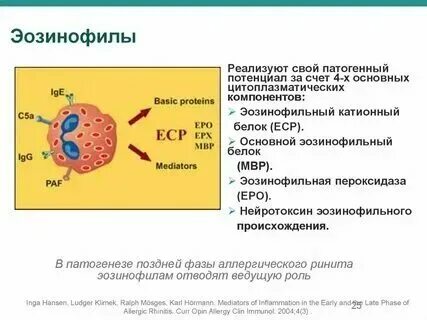Эозинофильный катионный белок норма у детей. Эозинофильный белок хеликс. Эозинофильный катионный белок норма у детей 9 лет. Эозинофильный катионный белок 118 нг/мл. Эозинофильный белок хеликс.