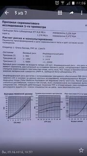 13 субъединица хгч