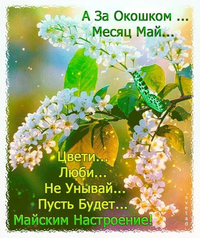 Текст песни пусть распускаются цветы в саду. Майского настроения. Весны вашему сердцу тепла вашей душе. Май настроение. Прекрасного майского дня.