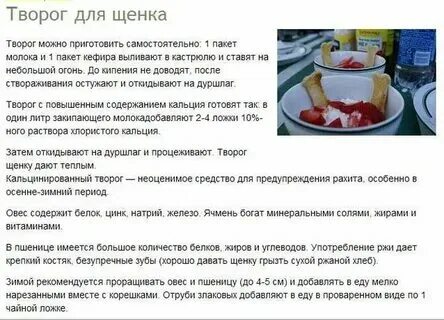 Сколько творога коту