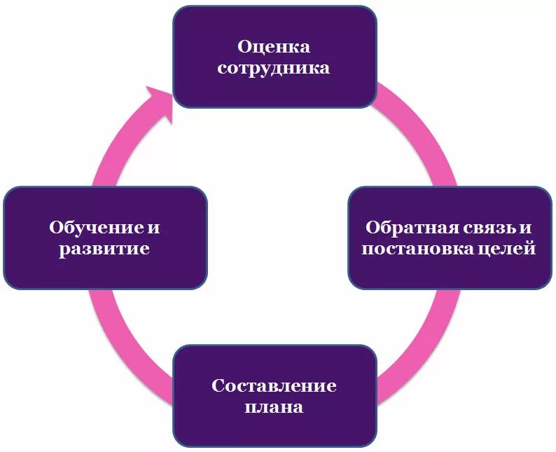 модель развития персонала. концепции управления персоналом. модели компетенций сотрудников. сферы развития сотрудника. современные тенденции управления персоналом.
