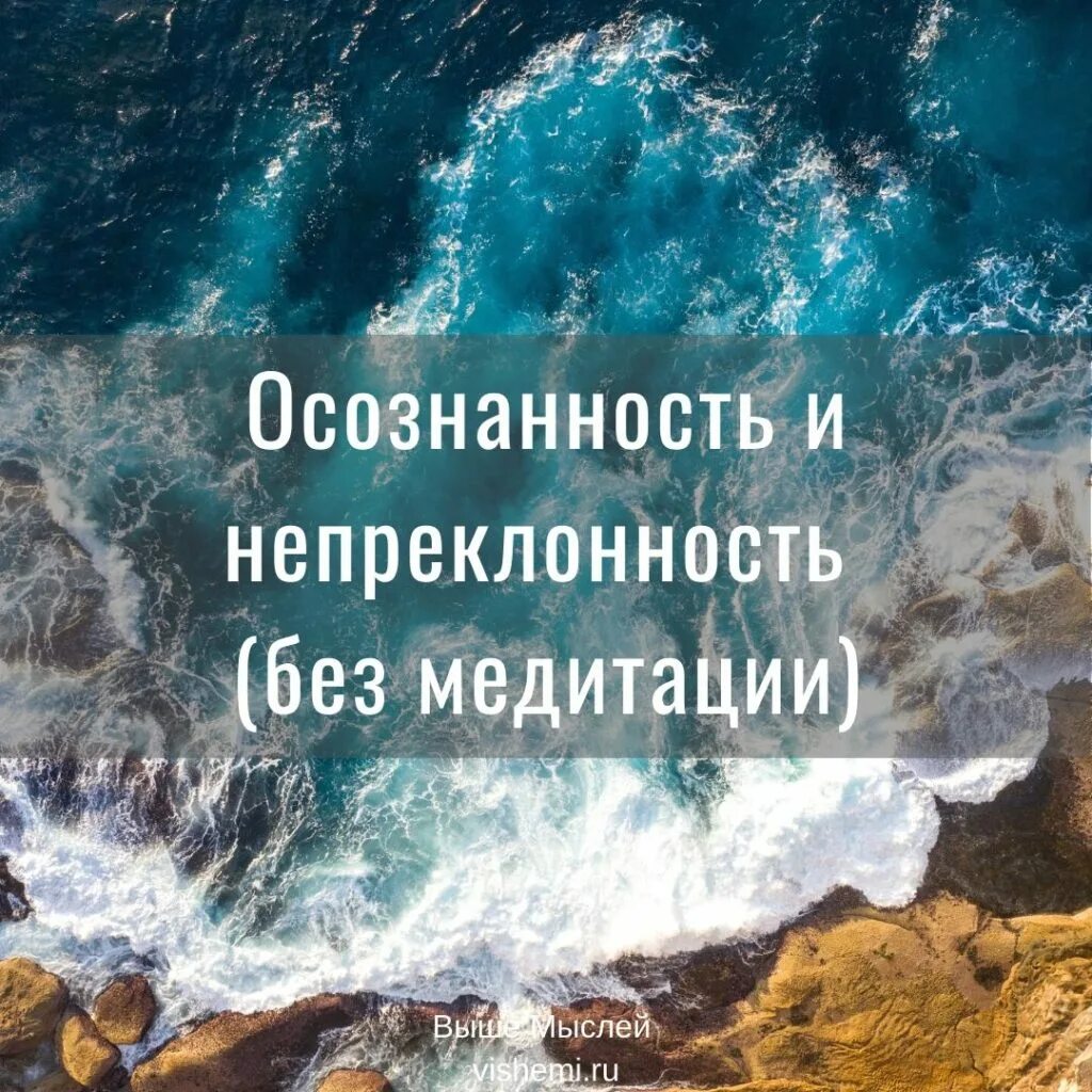 Неприклонность корень. Осознанность. Осознанность как понять. Как развить осознанность. Осознанность простыми словами.