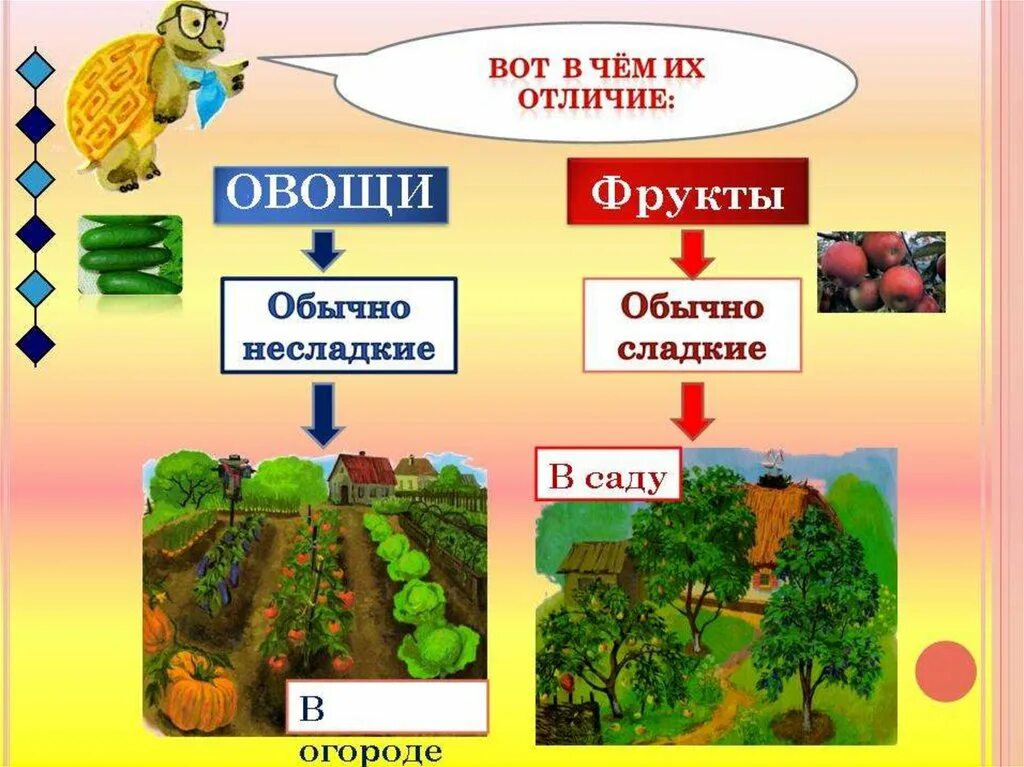 Окружающий мир и отличить. Отличие фруктов от овощей. Как отличить овощи от фруктов. Фрукты от овощей отличаются. Сад и огород отличие.