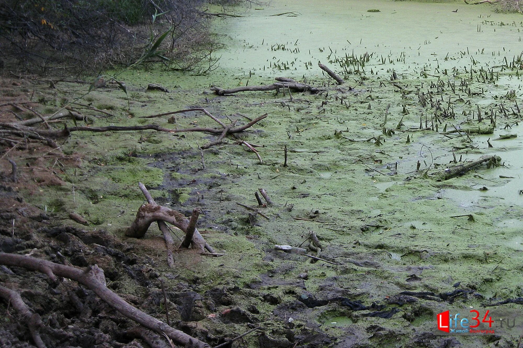 волга болото. талассофобия лавкрафт. болотник славянская мифология. и грянет мгла из всех болот из всех теснин. надвигающаяся буря.