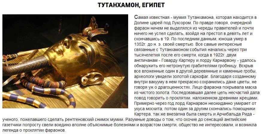 Саркофаг Тутанхамона Мумия. Гробница Тутанхамона история. Гробница Тутанхамона интересные факты. Открытие гробницы Тутанхамона. Погребение фараона кратко