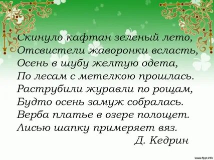 Скинуло кафтан зеленый лето сочинение