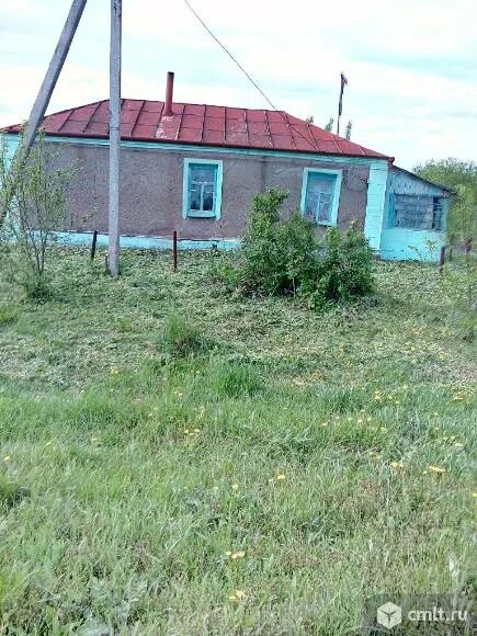 Воронежская новоусманский рогачевка. Воронежская новоусманский рогачевка. Рогачёвка воронежская область. Воронежская новоусманский рогачевка. Рогачевка липецкая область.