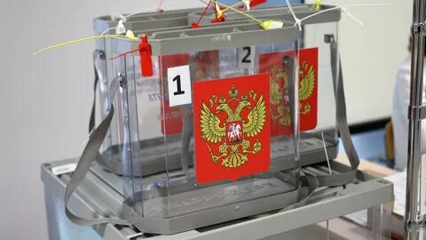 Явка в алтайском крае на выборах 2024