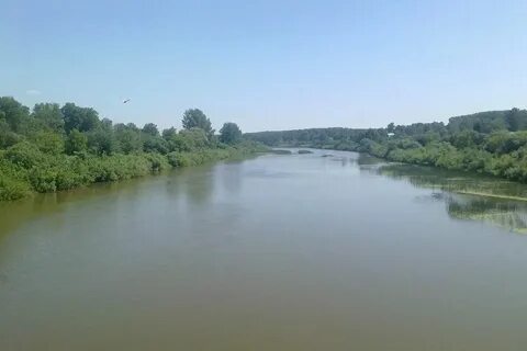 Речка иня