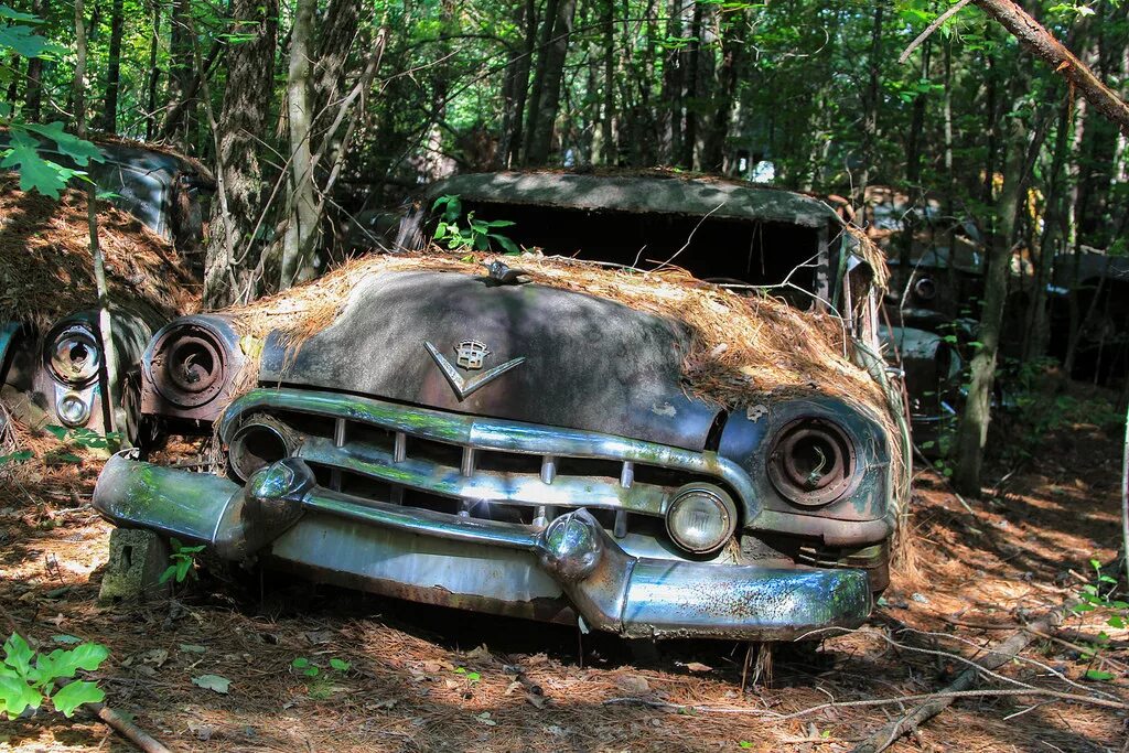 старые заброшенные машины. самые старые тачки. видео про старые машины. старинные заброшенные машины. старые машины в лесу.