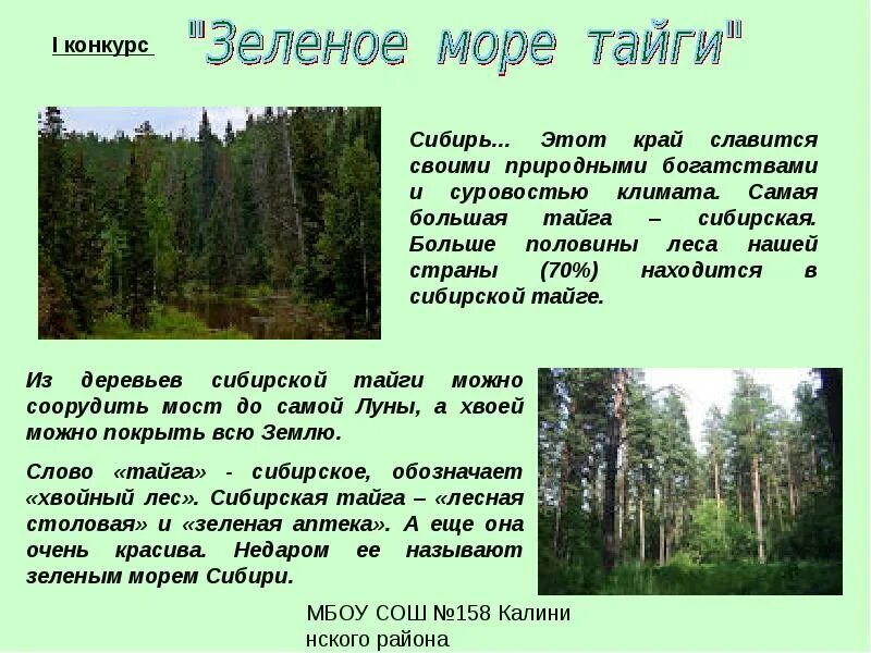 Природа сибири текст. Стихи про тайгу. Описание тайги. Доклад про тайгу. Стихи про сибирскую тайгу.