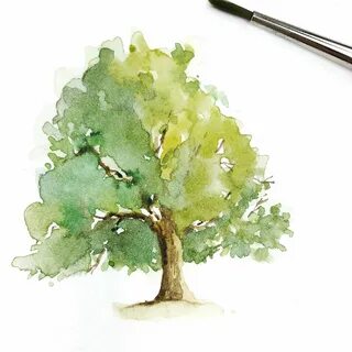 Старое дерево акварелью: как нарисовать поэтапно для начинающих