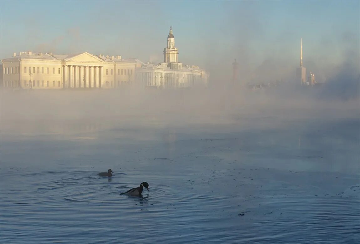 Спб купала. Спб купала. Купание. Крещенские купания 2021 в санкт-петербурге. Крещенские купания 2023 в спб.