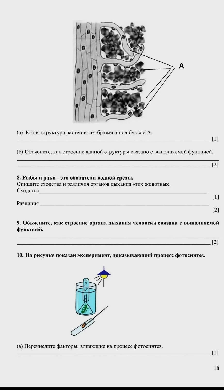 Соч по биологии 7 класс. Сор по биологии 7 класс 2 четверть. Соч по биологии 7 класс 1 четверть. Сор биология 7 класс 1 четверть. Сор биология 8 класс 2 четверть.