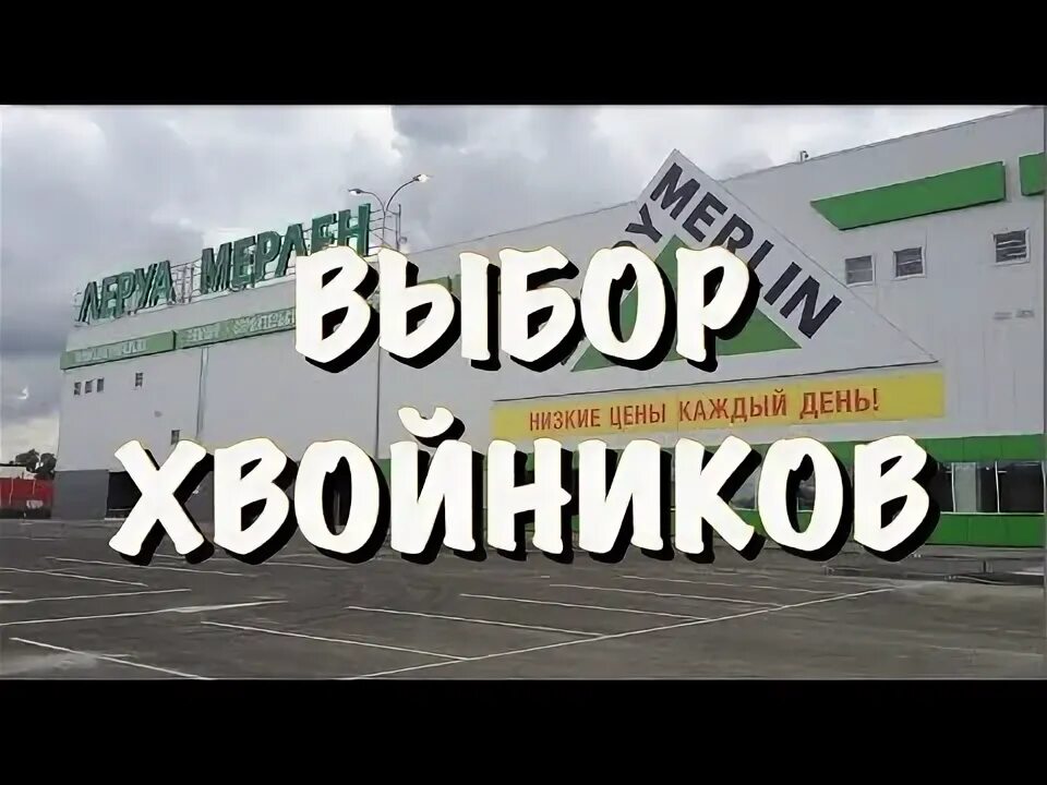 Леруа Мерлен Перхушково. Леруа Мерлен Домодедово. Леруа Мерлен Тюмень хвойники. Леруа Мерлен Домодедово садовый мир.