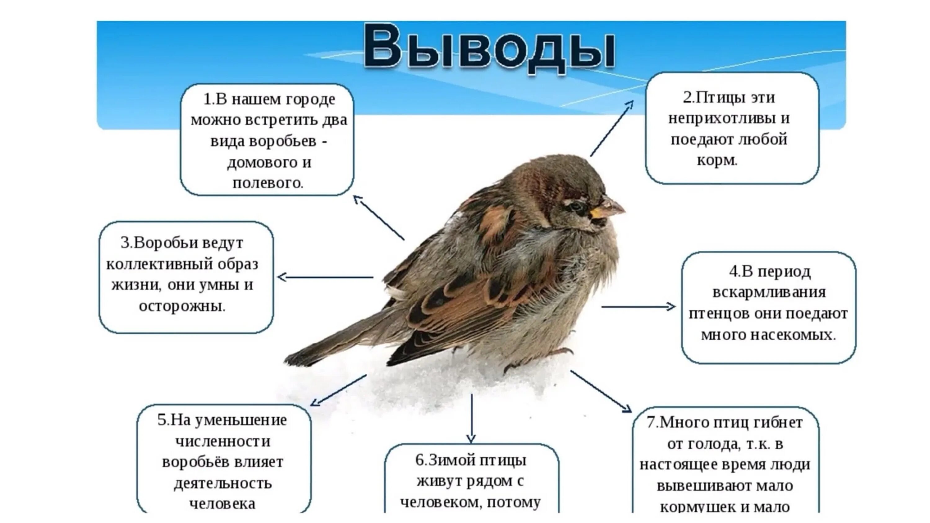 Прерывистый крик характерный для некоторых хищных